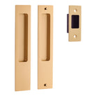 Sliding Door Pull Rectangular Pair Brushed Brass H225xW45xP2.5mm in Brushed Brass