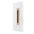 Windsor LUME sliding door flush pull handle in sleek, modern design with a brushed finish mounted on a door.