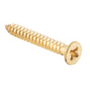 Screw Hinge Packet 50 Polished Brass L32mm 10 Gauge in Polished Brass