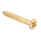 Screw Hinge Packet 50 Polished Brass L32mm 10 Gauge in Polished Brass