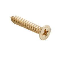 Solid brass Tradco hinge screws, 25mm L25mm 8 gauge, shown in a close-up image of the screw head and threading.
