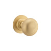 Door Knob Cambridge Round Rose Concealed Fix Brushed Brass D54xP67mm BP58mm in Brushed Brass