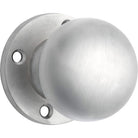 Door Knob Retro Fit Round Rose Pair Satin Chrome D54xP59mm BP60mm in Satin Chrome