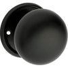 Door Knob Plain Round Rose Pair Matt Black D54xP53mm BP54mm in Matt Black