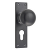 Door Knob Victorian Euro Pair Matt Black H152xW42xP75mm in Matt Black
