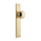 Pair of Iver Paddington knobs with rectangular backplates, crafted architectural hardware in polished metal finish.