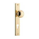 Pair of Iver Paddington knobs on rectangular backplates, architectural hardware with polished brass finish.