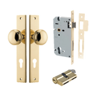Pair of Iver Paddington knobs on rectangular backplates, architectural hardware with polished brass finish.