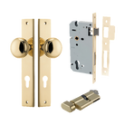 Pair of Iver Paddington knobs on rectangular backplates, showcasing sleek architectural hardware design in a polished finish.