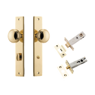 Pair of Iver Paddington knobs on rectangular backplates, architectural hardware with polished metal finish.