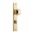 Pair of Iver Paddington knobs on rectangular backplates, architectural hardware handles with a sleek, modern design.