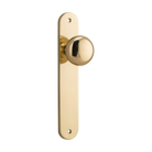 Door Knob Cambridge Oval Latch Polished Brass H240xW40xP67mm in Polished Brass