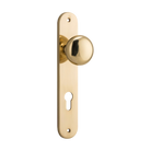 Door Knob Cambridge Oval Euro Polished Brass CTC85mm H240xW40xP67mm in Polished Brass