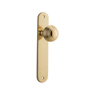 Door Knob Guildford Oval Latch Polished Brass H240xW40xP60mm in Polished Brass