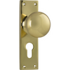 Door Knob Victorian Euro Pair Polished Brass H152xW42xP75mm in Polished Brass