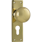 Door Knob Victorian Euro Pair Polished Brass H152xW42xP75mm in Polished Brass