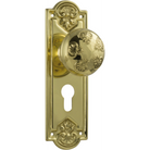 Door Knob Nouveau Euro Pair Polished Brass H188xW58xP60mm in Polished Brass