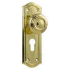 Door Knob Kensington Euro Pair Polished Brass H175xP57xW58mm in Polished Brass