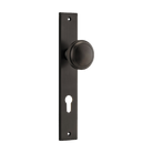Pair of Iver Paddington knobs on rectangular backplates, architectural hardware with polished metal finish, ideal for doors or cabinets.