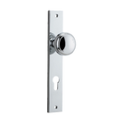 Pair of Iver Paddington knobs on rectangular backplates, showcasing sleek architectural hardware for doors or cabinets.