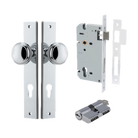 Pair of Iver Paddington knobs on rectangular backplates, showcasing sleek architectural hardware design in a polished finish.