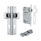 Pair of Iver Paddington knobs with rectangular backplates, showcasing sleek architectural hardware design in a polished finish.