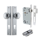 Pair of Iver Paddington knobs with rectangular backplates, showcasing polished brass hardware for doors or cabinetry.