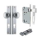 Pair of Iver Paddington knobs on rectangular backplates, stylish architectural hardware handles with a polished finish.