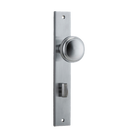 Pair of Iver Paddington knobs on rectangular backplates, architectural hardware door handles with a polished metal finish.