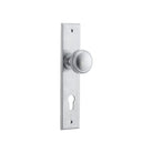 Door Knob Paddington Chamfered Euro Brushed Chrome H240xW50xP63mm in Brushed Chrome
