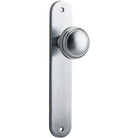 Door Knob Paddington Oval Latch Brushed Chrome H237xW50xP68mm in Brushed Chrome