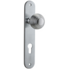 Door Knob Guildford Oval Euro Brushed Chrome CTC85mm H230xW40xP60mm in Brushed Chrome