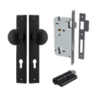 Pair of Iver Paddington knobs on rectangular backplates, showcasing sleek brass hardware for architectural design.