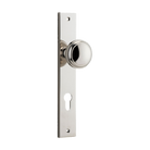 Pair of Iver Paddington cabinet knobs on rectangular backplates, showcasing elegant architectural hardware design.