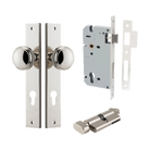 Pair of Iver Paddington knobs on rectangular backplates, showcasing polished brass finish and classic architectural hardware design.