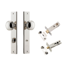 Pair of Iver Paddington knobs on rectangular backplates, architectural hardware with polished metal finish, ideal for doors.