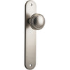 Door Knob Paddington Oval Latch Satin Nickel H237xW50xP68mm in Satin Nickel