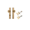 Door Knob Paddington Rectangular Privacy Brushed Brass CTC85mm H240xW38xP68mm Inbuilt Privacy Kit Tube Latch Split Cam 'T' Striker Brushed Brass Backset 60mm, Privacy Bolt Round Bolt Brushed Brass Backset 60mm in Brushed Brass