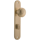 Door Knob Paddington Oval Privacy Brushed Brass CTC85mm H237xW50xP68mm in Brushed Brass