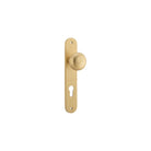 Door Knob Cambridge Oval Euro Brushed Brass CTC85mm H240xW40xP67mm in Brushed Brass