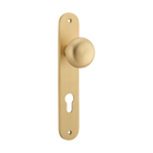 Door Knob Cambridge Oval Euro Brushed Brass CTC85mm H240xW40xP67mm in Brushed Brass