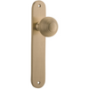 Door Knob Guildford Oval Latch Brushed Brass H230xW40xP60mm in Brushed Brass