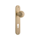 Door Knob Guildford Oval Euro Brushed Brass CTC85mm H230xW40xP60mm in Brushed Brass