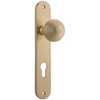 Door Knob Guildford Oval Euro Brushed Brass CTC85mm H230xW40xP60mm in Brushed Brass