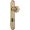 Door Knob Guildford Oval Privacy Brushed Brass CTC85mm H230xW40xP60mm in Brushed Brass