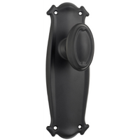 Pair of Tradco Bungalow Knobs on long backplates, featuring vintage-style metal door handles for classic interior decor.