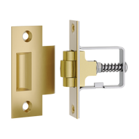 Tube Latch Roller with Face Plate & Striker Brushed Gold PVD in Brushed Gold