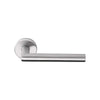 BASICS LB2-19 sprung lever handle on rose EN1906 class 3 satin stainless steel   in Satin Stainless