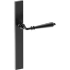 ELEGANTE Door Handle on B02 EXTERNAL European Standard Backplate, Concealed Fixing (Half Set) in Black Teflon
