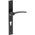 LAGUNA Door Handle on B02 INTERNAL European Standard Backplate with Cylinder Hole, Visible Fixing (Half Set) 85mm CTC in Black Teflon